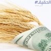 توقعات بتراجع سعر الصرف مع تسويق القمح.. مداد: تراجع الطلب على الدولار مع تراجع فاتورة المستوردات من القمح