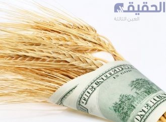 توقعات بتراجع سعر الصرف مع تسويق القمح.. مداد: تراجع الطلب على الدولار مع تراجع فاتورة المستوردات من القمح