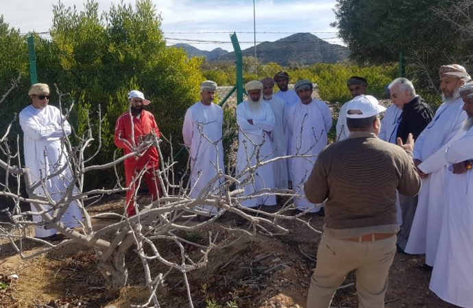 في أولى ثمرات التعاون مع وزارة الزراعة العمانية.. أكساد يدرب 23 مهندساً زراعياً وفنياً ومزارعاً على زراعة وإنتاج وخدمة أشجار الفاكهة