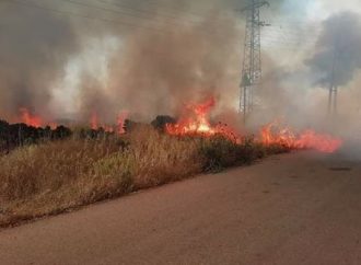 حريق في ريف حمص الغربي يلتهم 100 دونم.. مدير الزراعة: أغلبها أعشاب يابسة ولم يصل للحراج