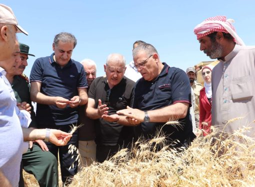 استلام أكثر من 117 ألف طن قمح في حلب.. وزير الزراعة: إقبال من الفلاحين على تسليم محصولهم.. ونتوقع أن يتجاوز انتاج الذرة 400 ألف طن هذا العام