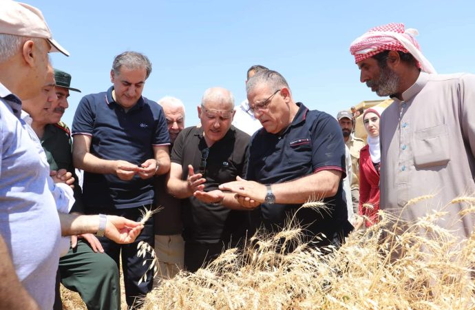 استلام أكثر من 117 ألف طن قمح في حلب.. وزير الزراعة: إقبال من الفلاحين على تسليم محصولهم.. ونتوقع أن يتجاوز انتاج الذرة 400 ألف طن هذا العام